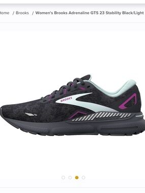 Brand New Brooks Adrenaline GTS 23